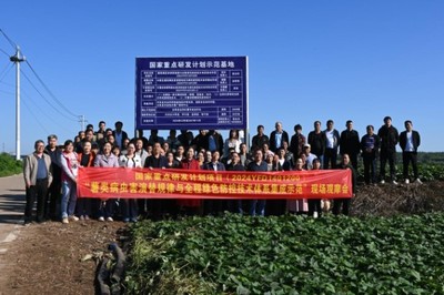 綠色防控，“薯”來運(yùn)轉(zhuǎn)——河南省農(nóng)科院植保所召開甘薯病蟲害綠色防控培訓(xùn)觀摩會(huì)