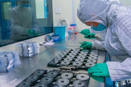 溫江吹響服務(wù)業(yè)發(fā)展集結(jié)號 生物農(nóng)藥技術(shù)研發(fā)引領(lǐng)綠色產(chǎn)業(yè)新風(fēng)向