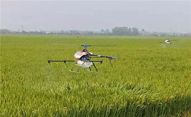 從跟跑到領(lǐng)跑 我國農(nóng)藥行業(yè)四十年變遷與諾普信在生物農(nóng)藥研發(fā)中的使命